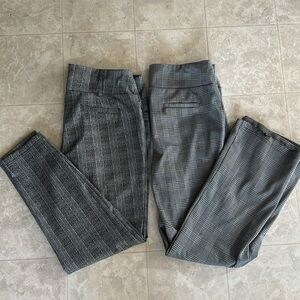 Dress pants (2 pairs) - Large